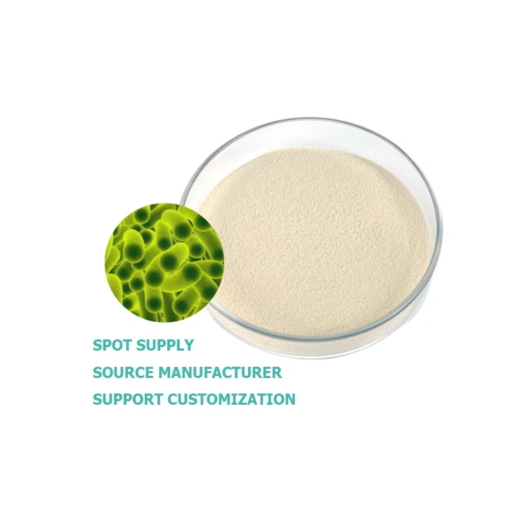 Bacillus licheniformis (maatalous)