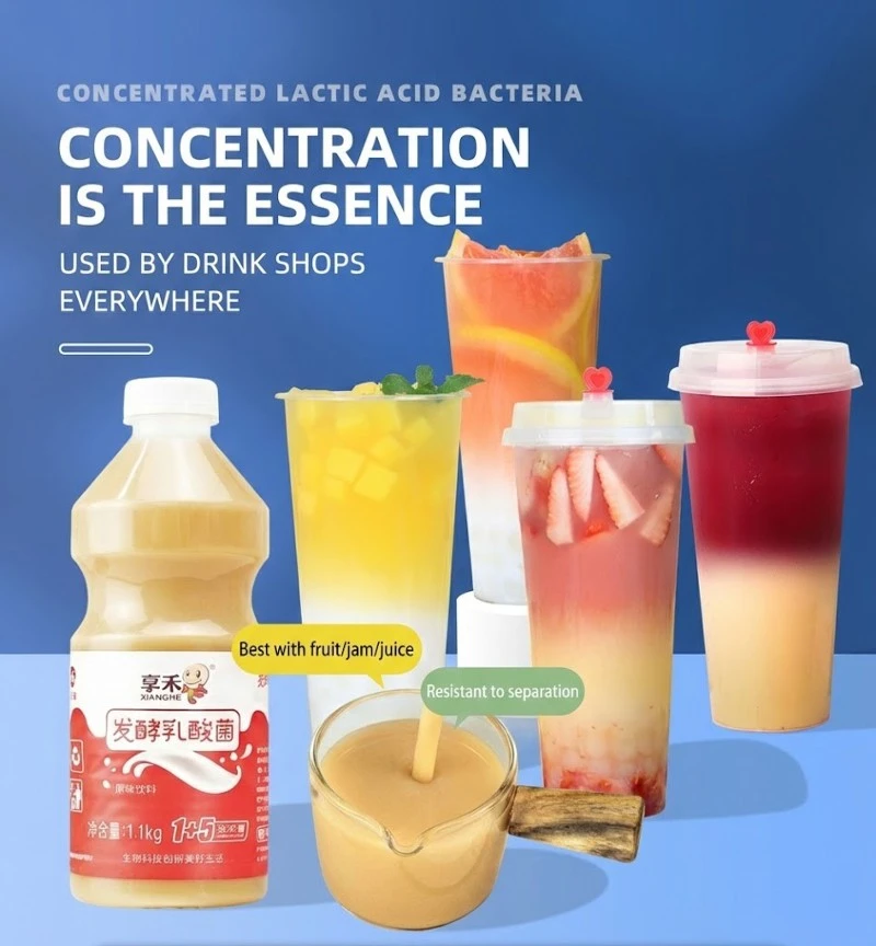 Concentrated fermented lactic acid bacteria beverage Concentrated fermented lactic acid bacteria beverage
